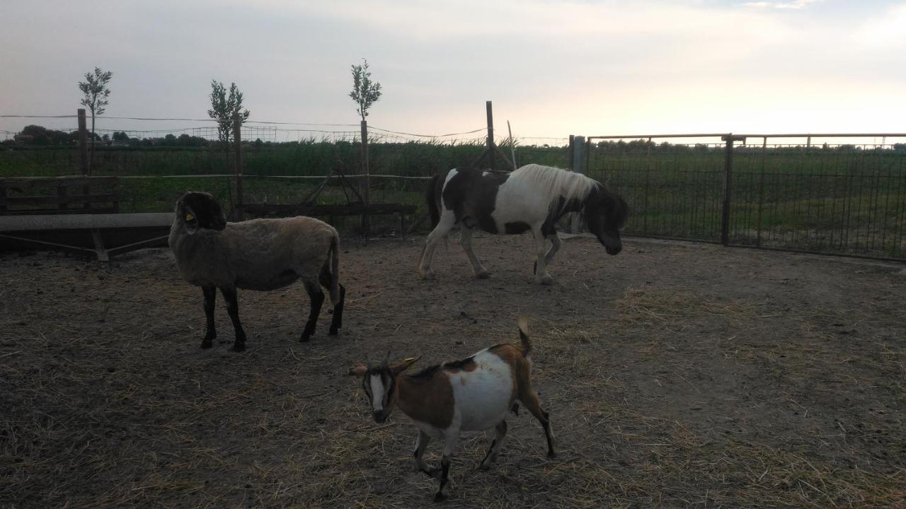 Вілла Agriturismo Taglio Del Re Єзоло Екстер'єр фото